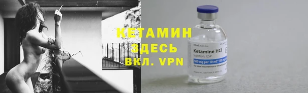 трава Магас
