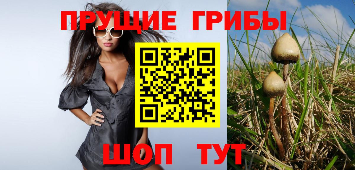 Самара  Псилоцибиновые грибы Cubensis  Вход с VPN 